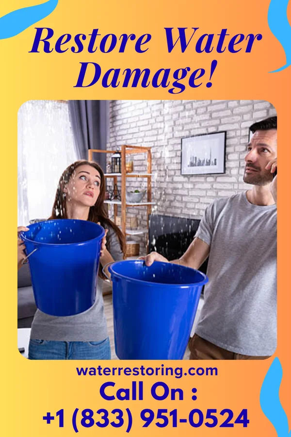 water restoration Reliable Water Solutions LLC Amo